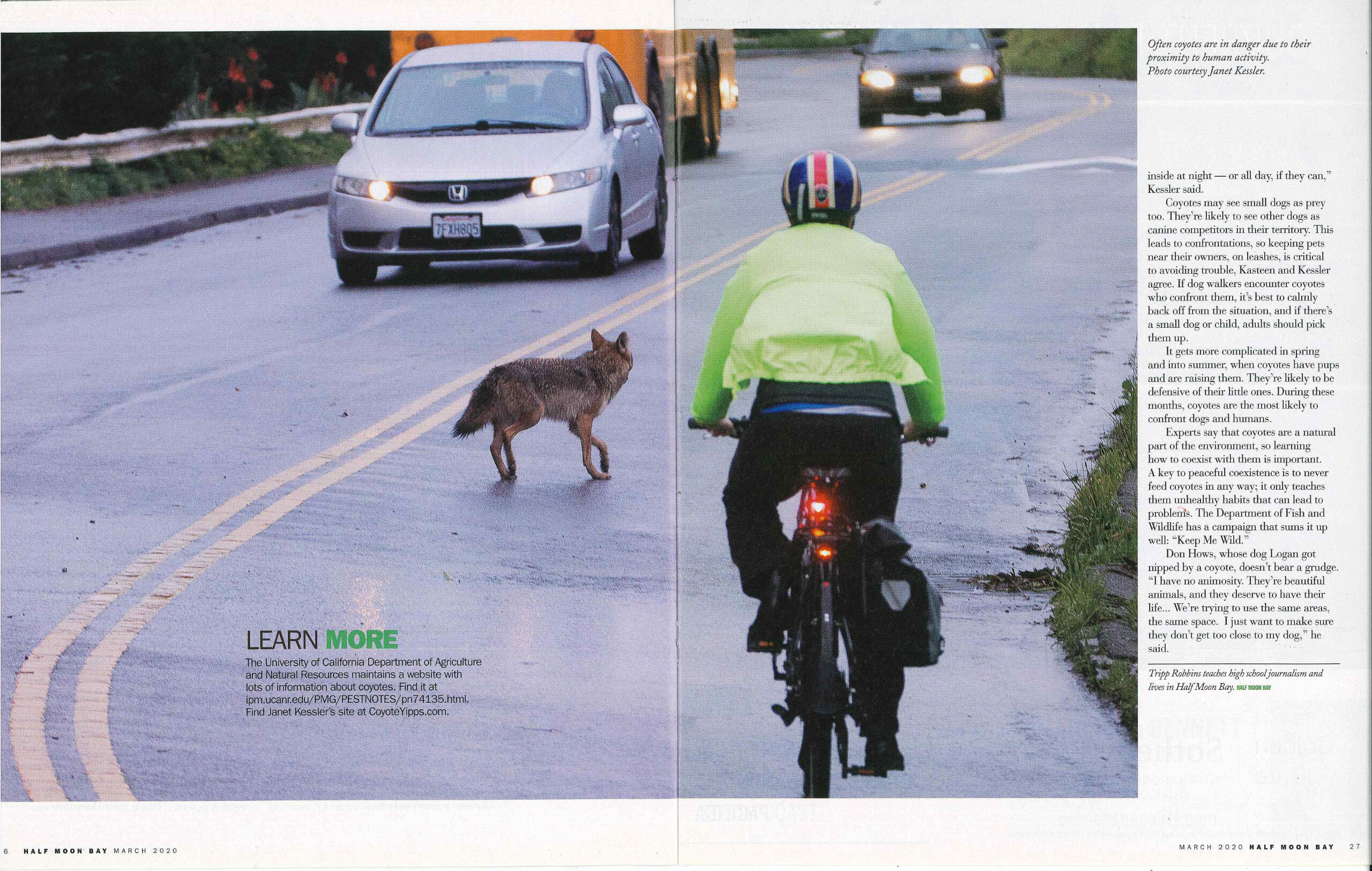 Coyotes on the Coast, p.4