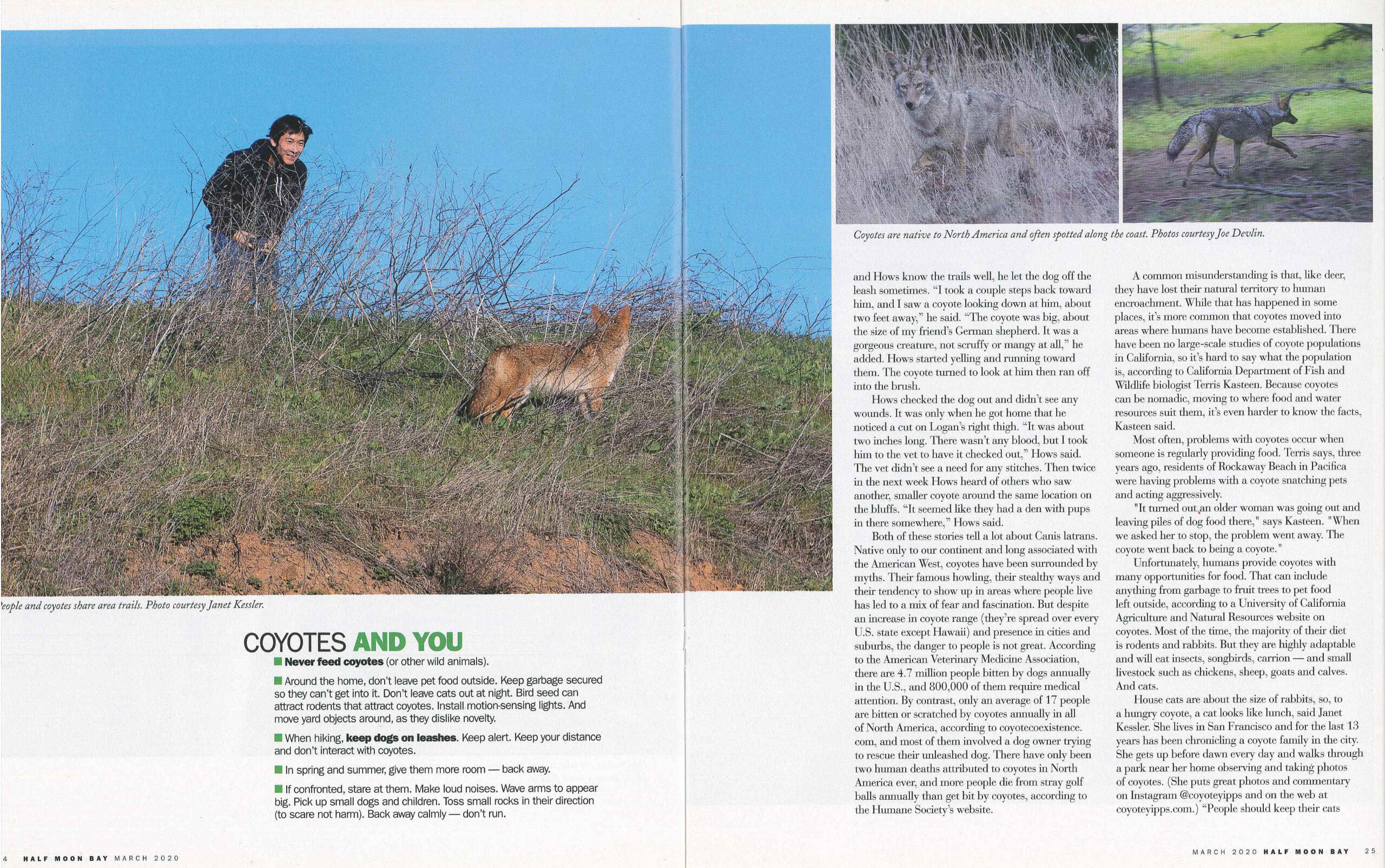 Coyotes on the Coast, p.3
